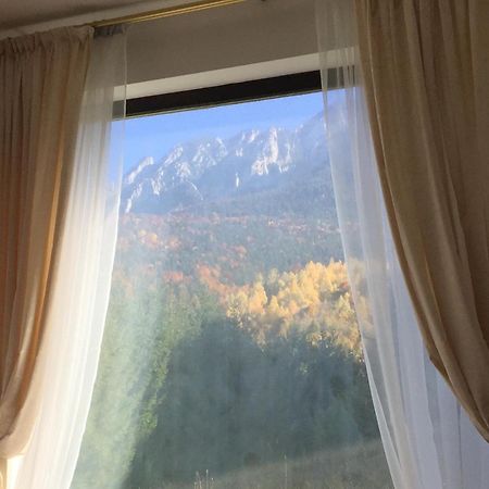 Villa & Spa 4Temporadas - Plaiul Foii Zărneşti Kültér fotó