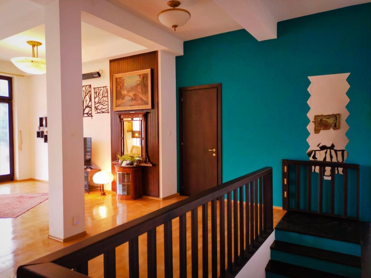 Villa & Spa 4Temporadas - Plaiul Foii Zărneşti Kültér fotó
