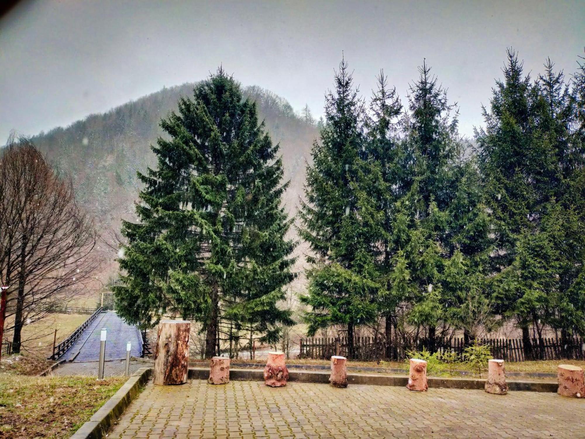 Villa & Spa 4Temporadas - Plaiul Foii Zărneşti Kültér fotó