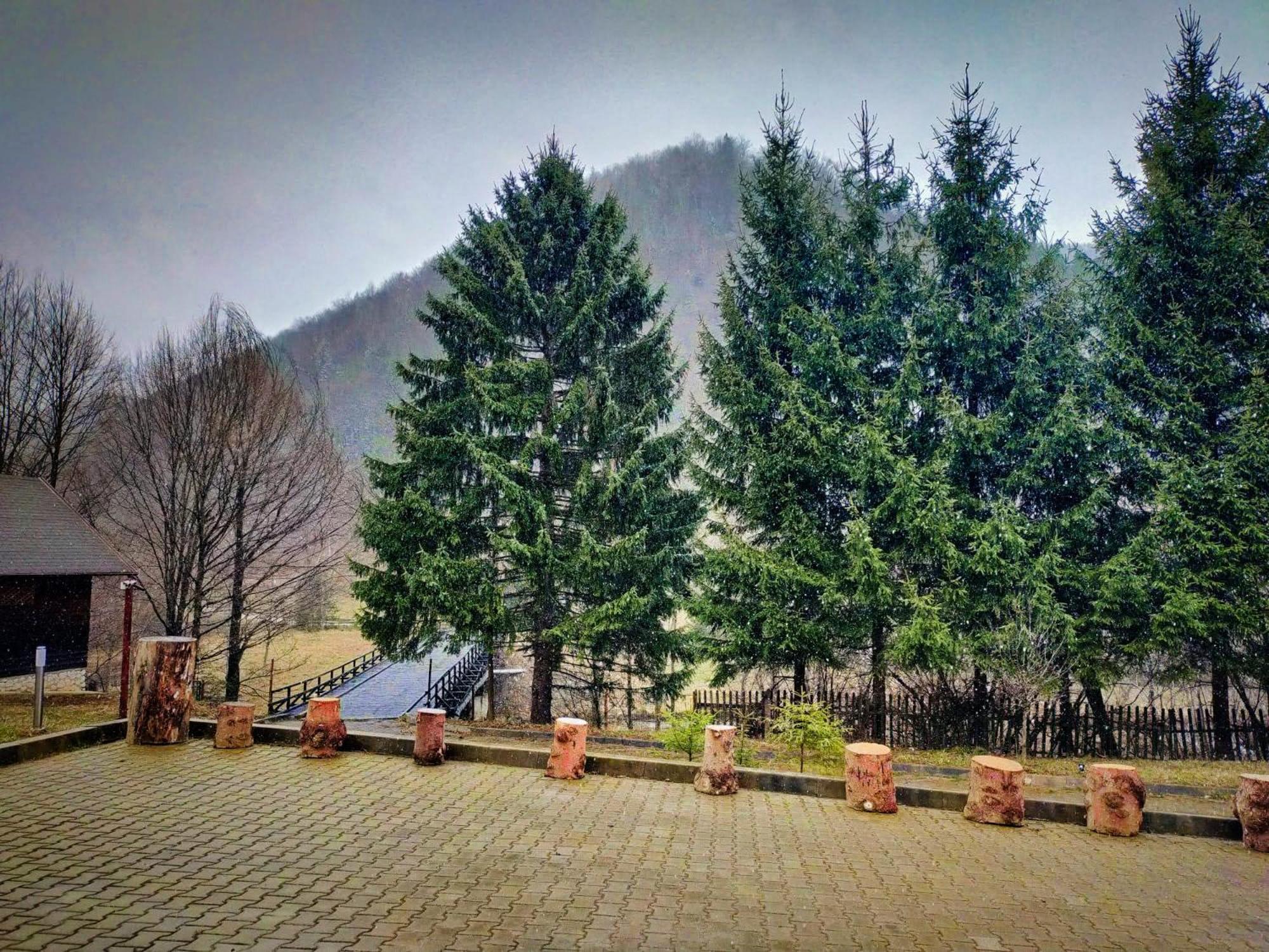 Villa & Spa 4Temporadas - Plaiul Foii Zărneşti Kültér fotó