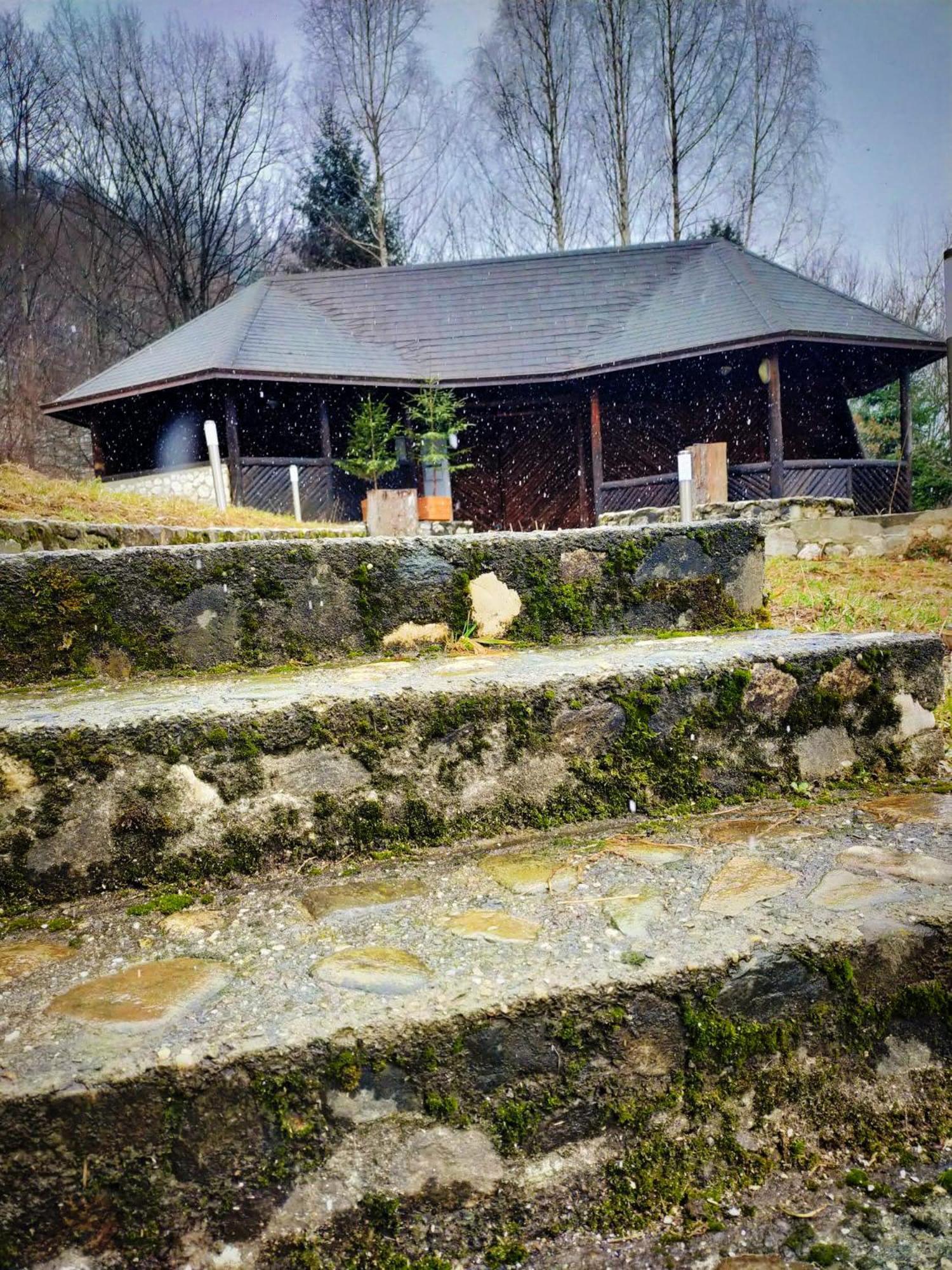Villa & Spa 4Temporadas - Plaiul Foii Zărneşti Kültér fotó